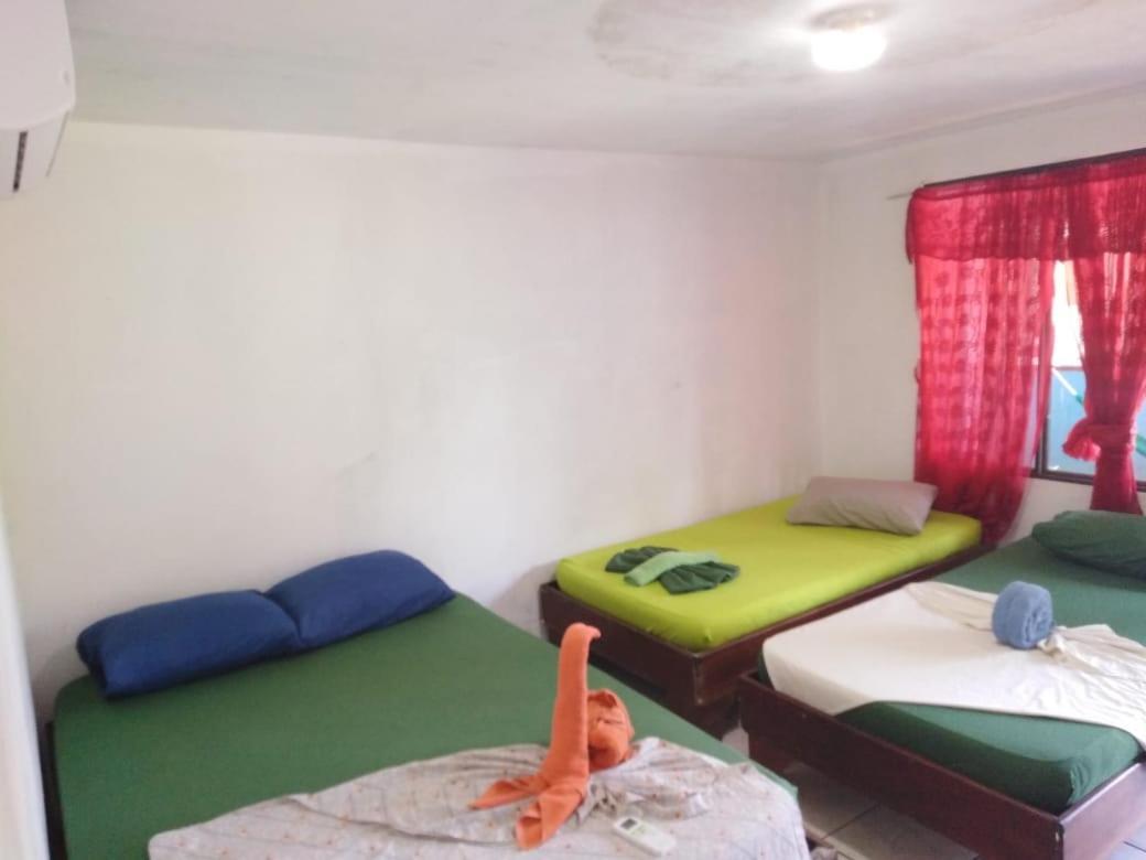 Cabinas Miss Miriam 2 Тортугеро Екстер'єр фото